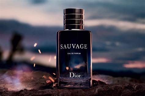 sauvage dior foto|Dior Sauvage best price.